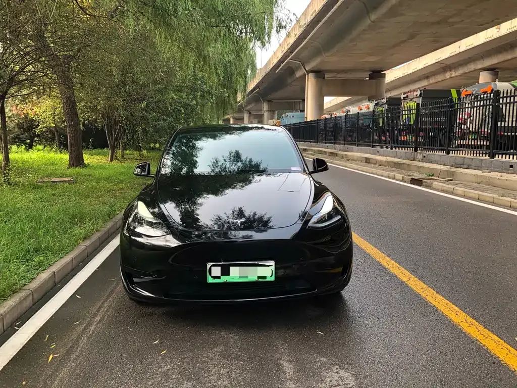 Tesla Model Y — фото 4