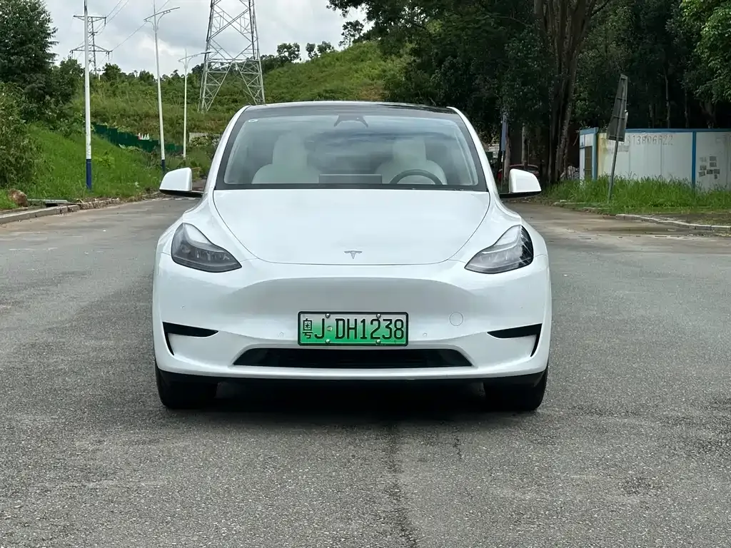 Tesla Model Y — фото 5