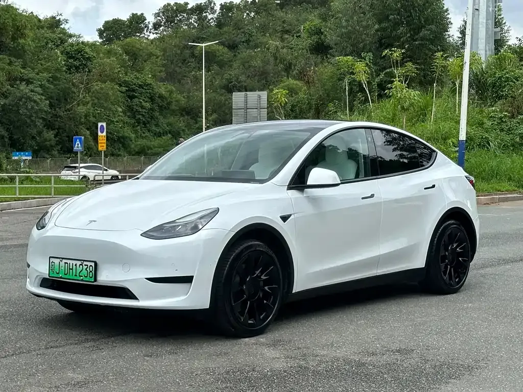 Tesla Model Y — фото 2