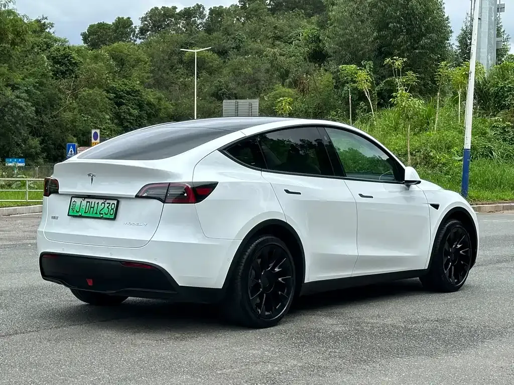 Tesla Model Y — фото 4