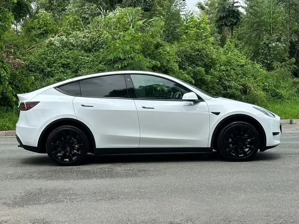 Tesla Model Y — фото 10