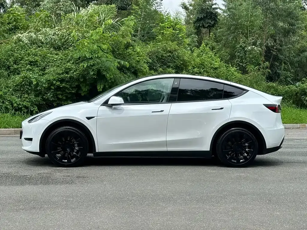 Tesla Model Y — фото 9