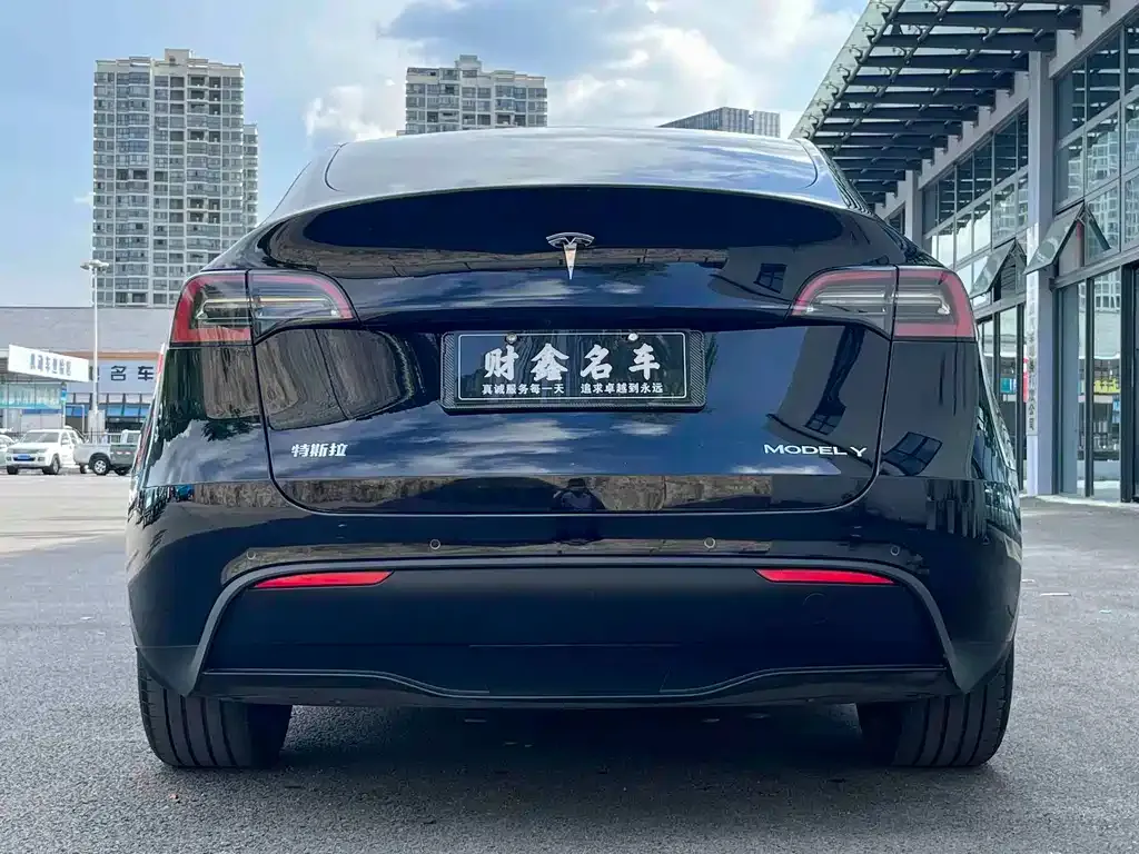 Tesla Model Y — фото 7