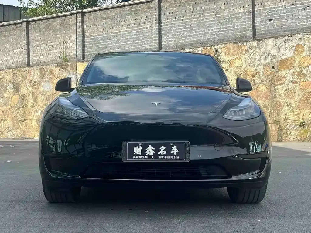 Tesla Model Y — фото 5
