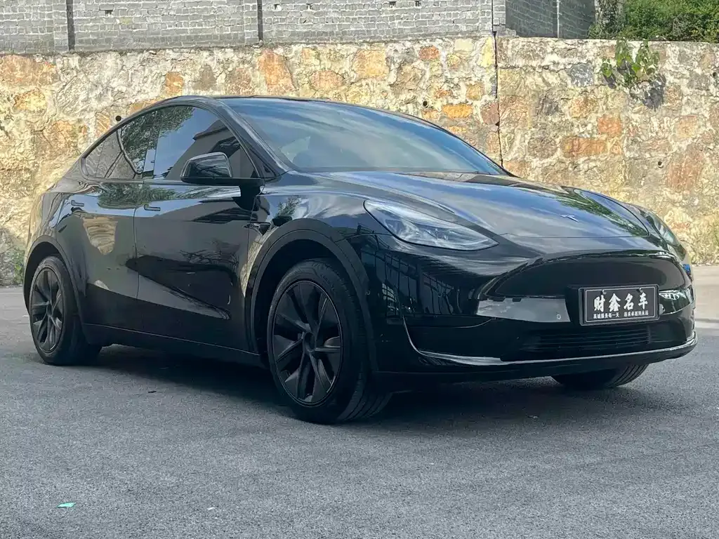 Tesla Model Y — фото 2