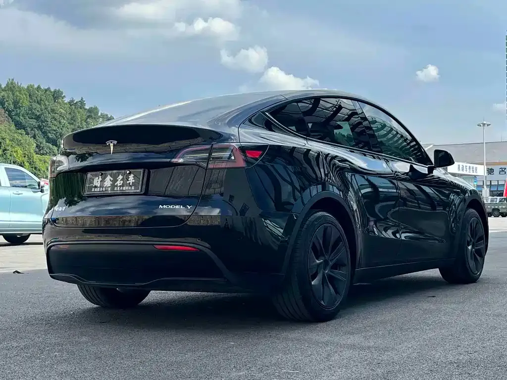 Tesla Model Y — фото 10