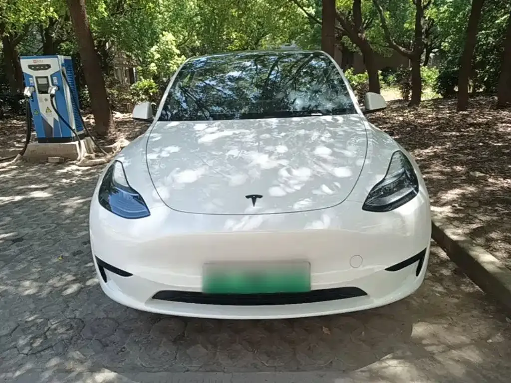 Tesla Model Y — фото 10