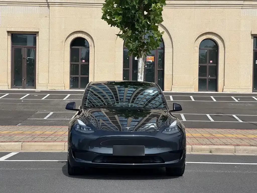 Tesla Model Y — фото 2