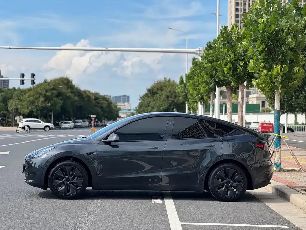 Tesla Model Y — фото 10