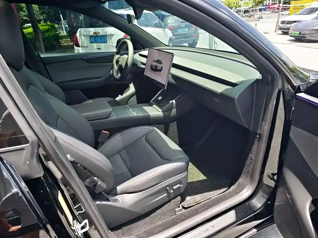 Tesla Model Y — фото 2