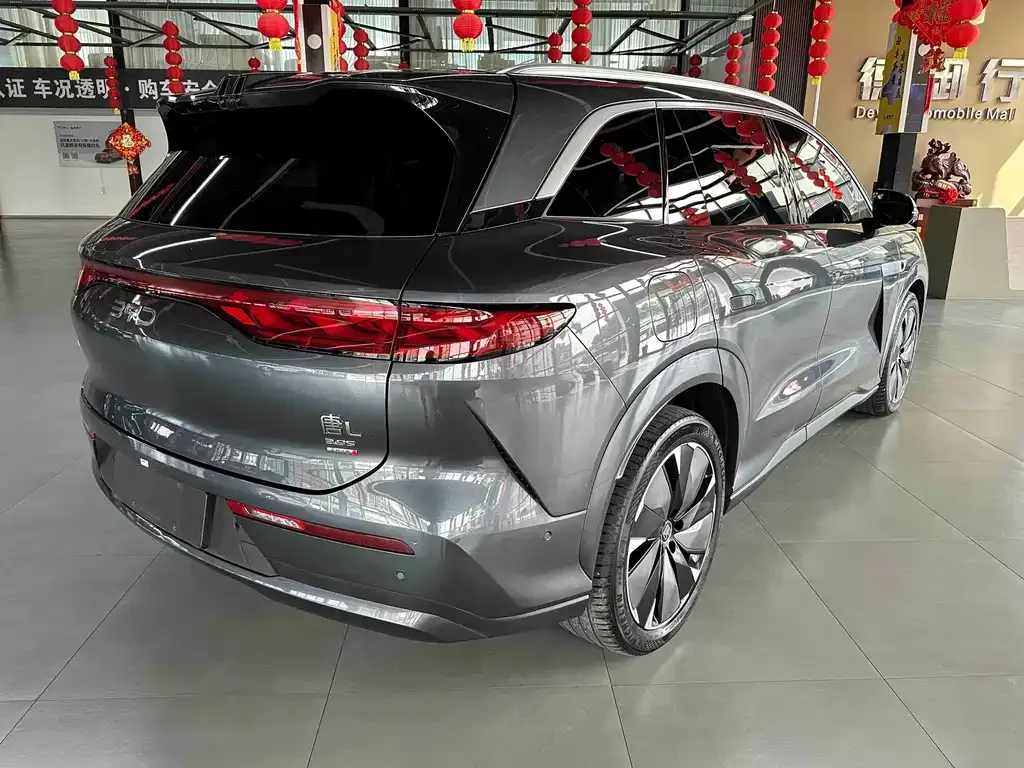 BYD Tang L — фото 4