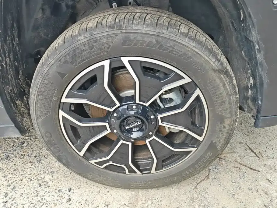 Haval H7 (Big Dog Plus) New Energy — фото 6