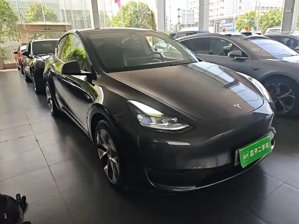 Tesla Model Y — фото 10