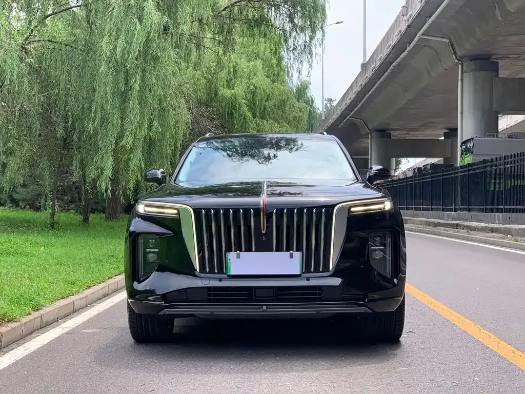 Hongqi E-HS9 — фото 9