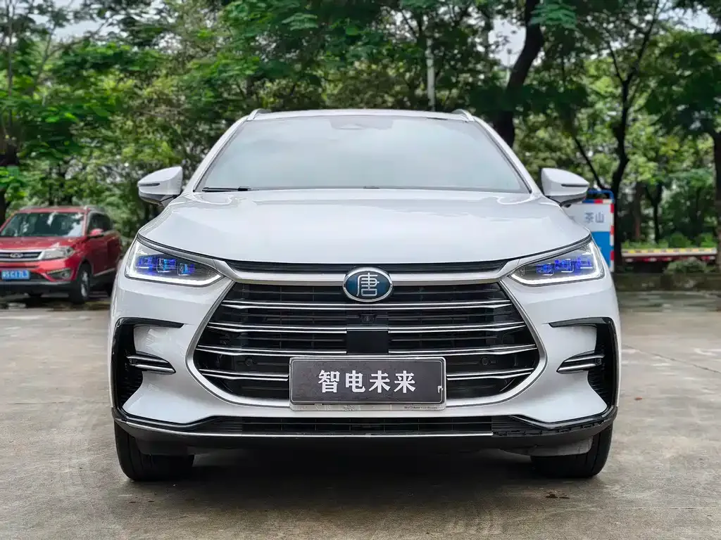 BYD Tang New Energy — фото 8