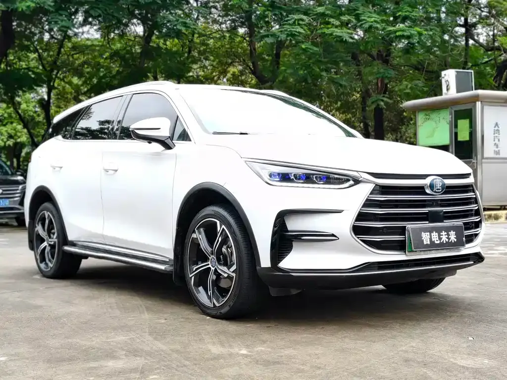 BYD Tang New Energy — фото 10
