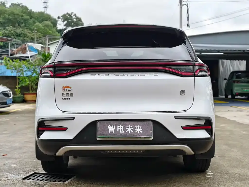 BYD Tang New Energy — фото 7
