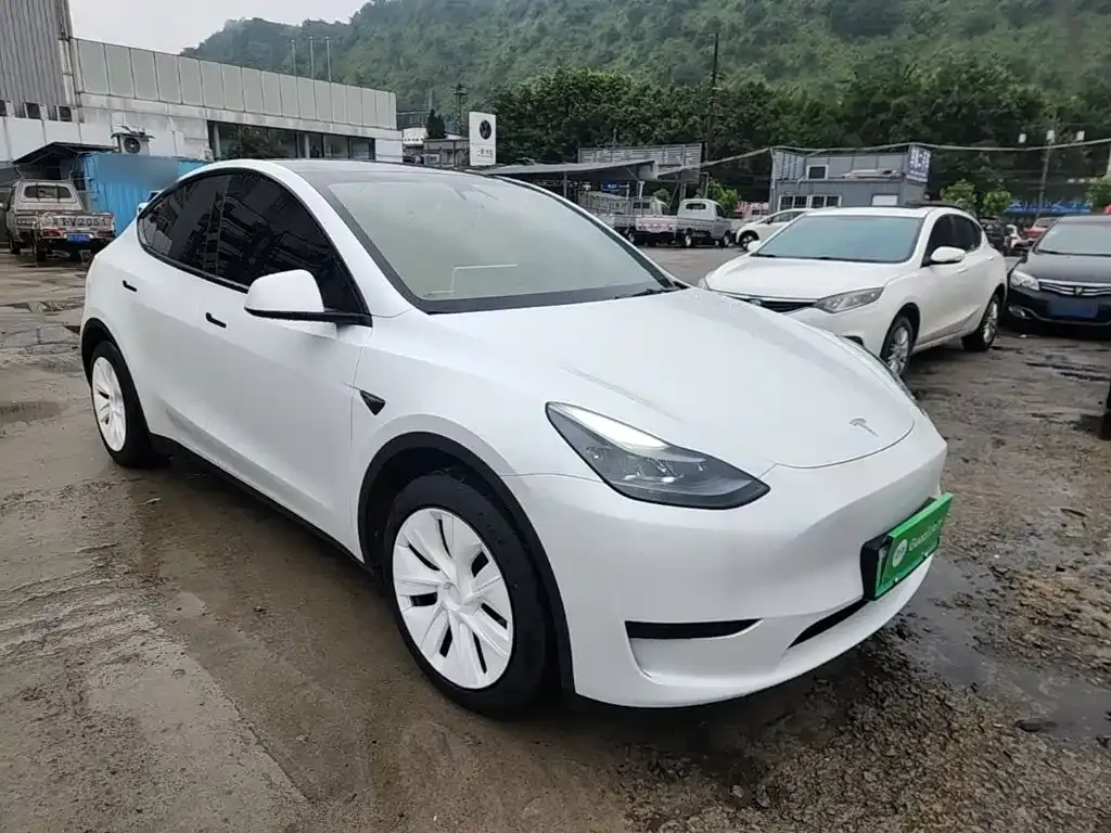 Tesla Model Y — фото 10
