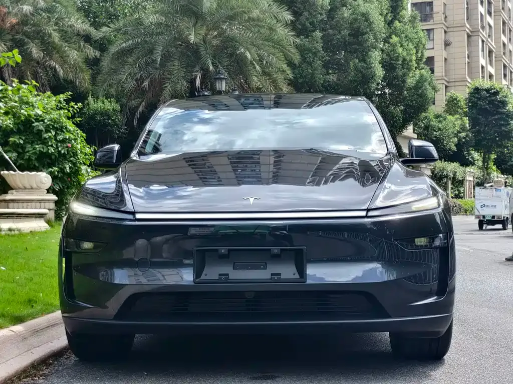 Tesla Model Y — фото 10