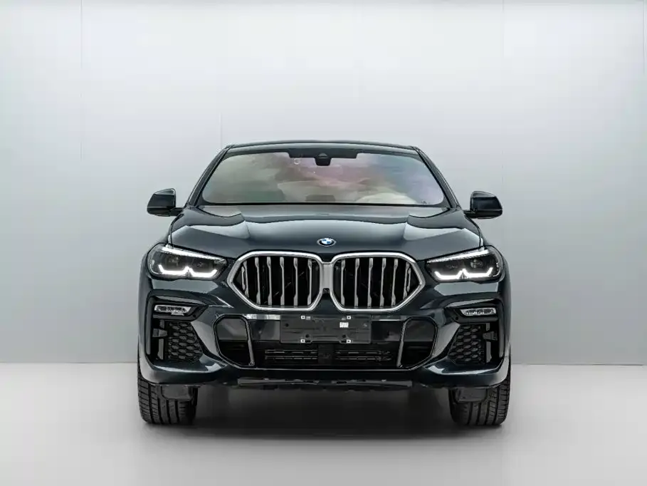 BMW X6 — фото 9