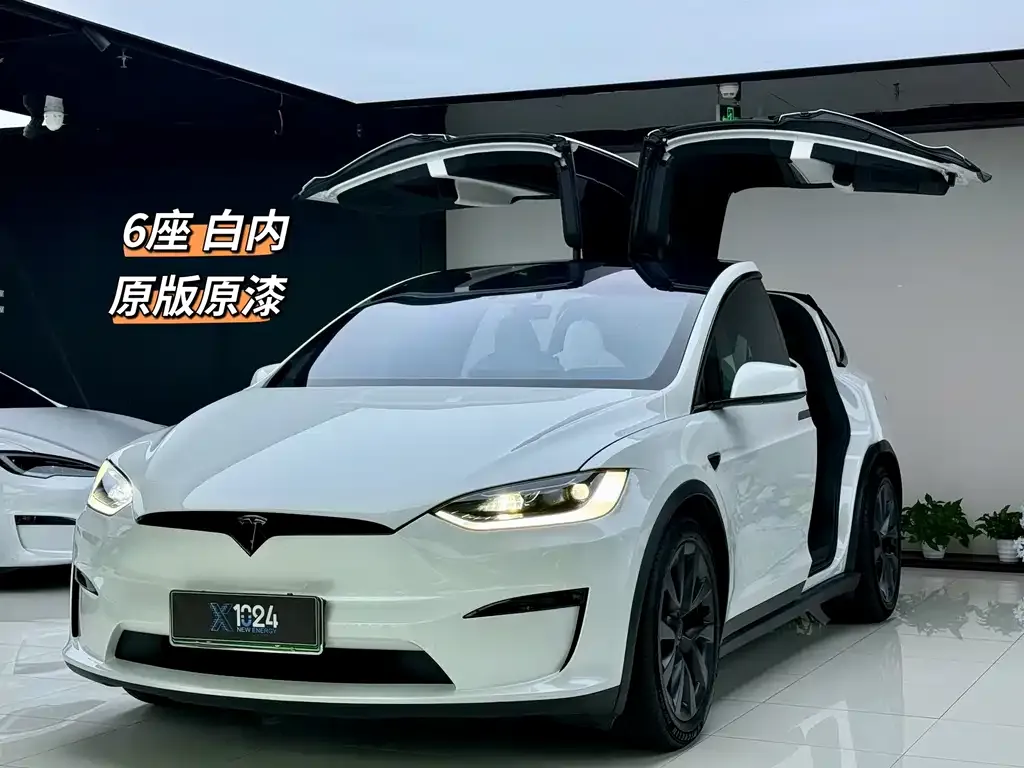Tesla Model X — фото 1