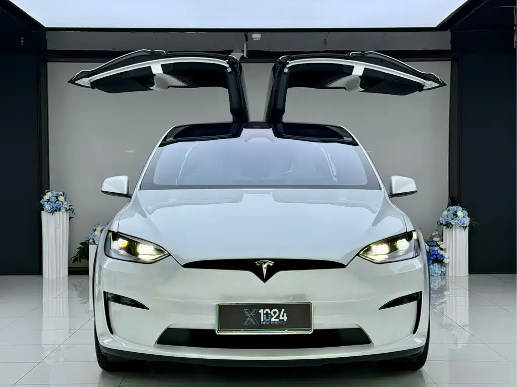 Tesla Model X — фото 8