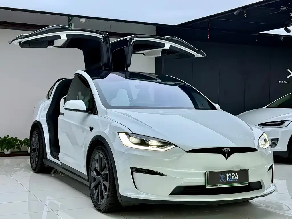 Tesla Model X — фото 5