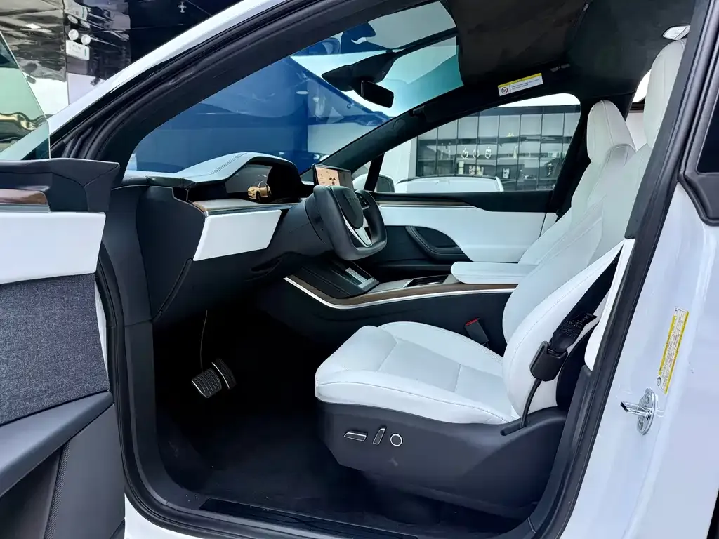 Tesla Model X — фото 10
