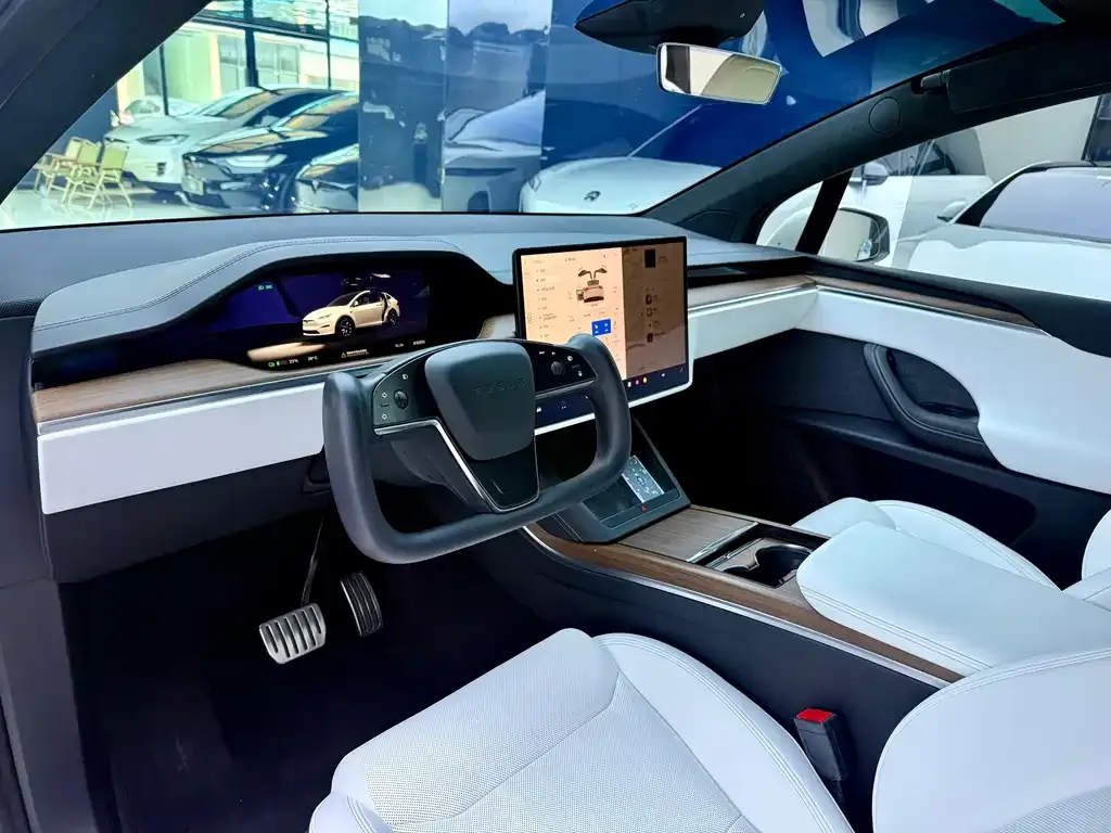 Tesla Model X — фото 7