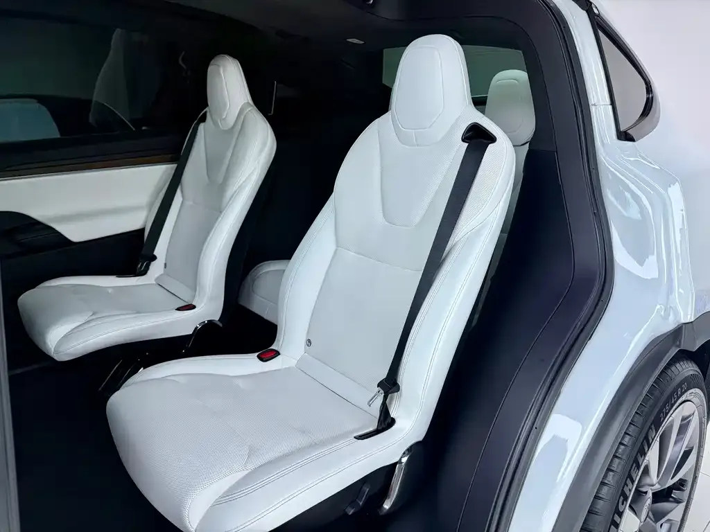 Tesla Model X — фото 4