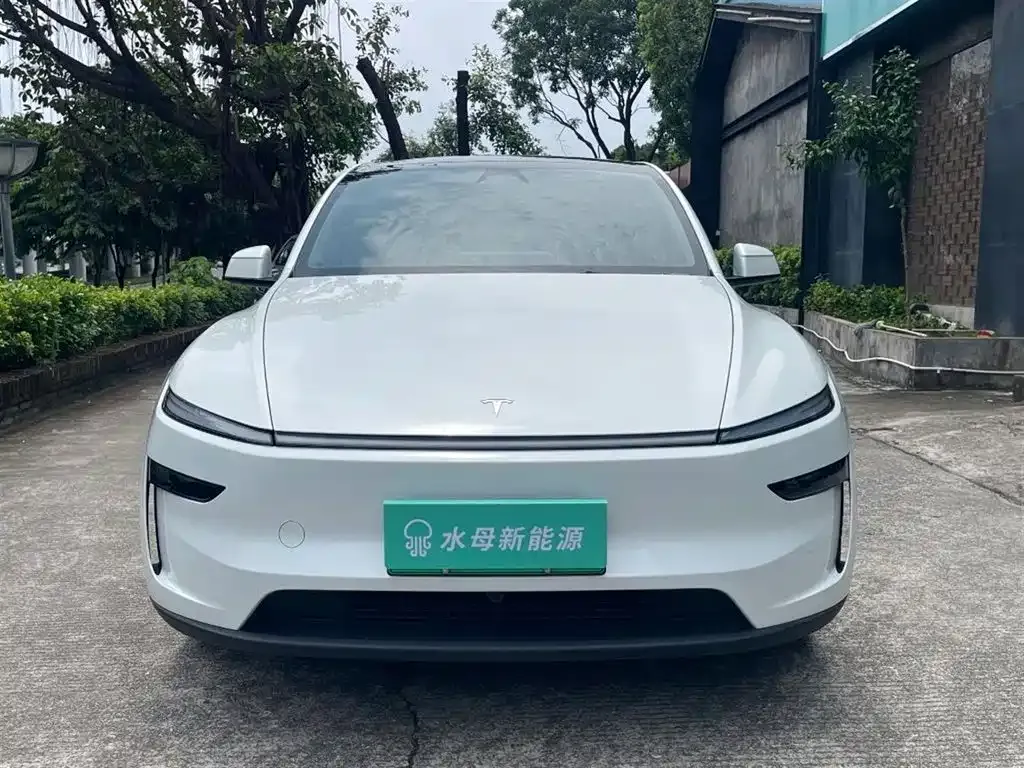 Tesla Model Y — фото 10