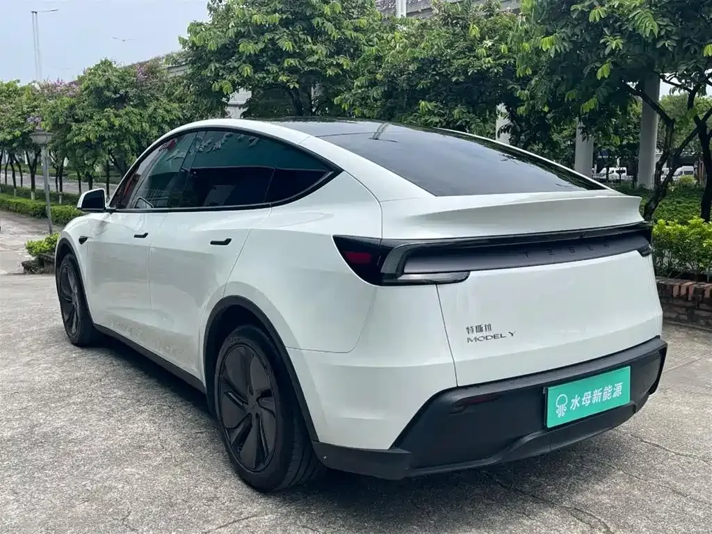 Tesla Model Y — фото 3