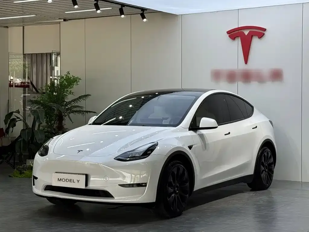 Tesla Model Y — фото 1