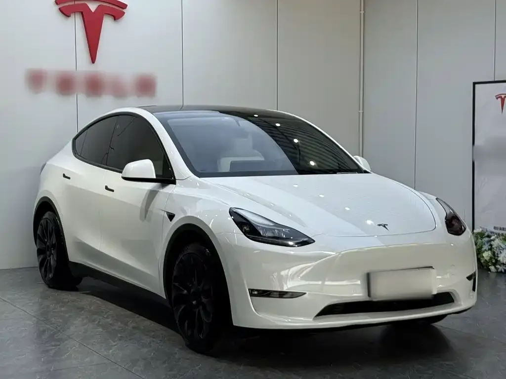 Tesla Model Y — фото 8