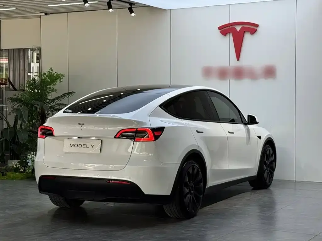 Tesla Model Y — фото 5