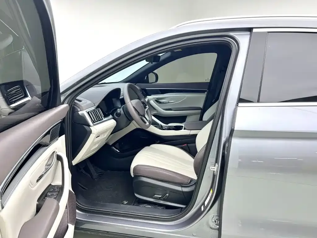 BYD PLUS New Energy — фото 10