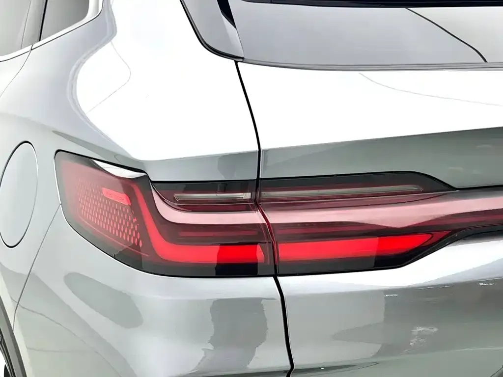 BYD PLUS New Energy — фото 3