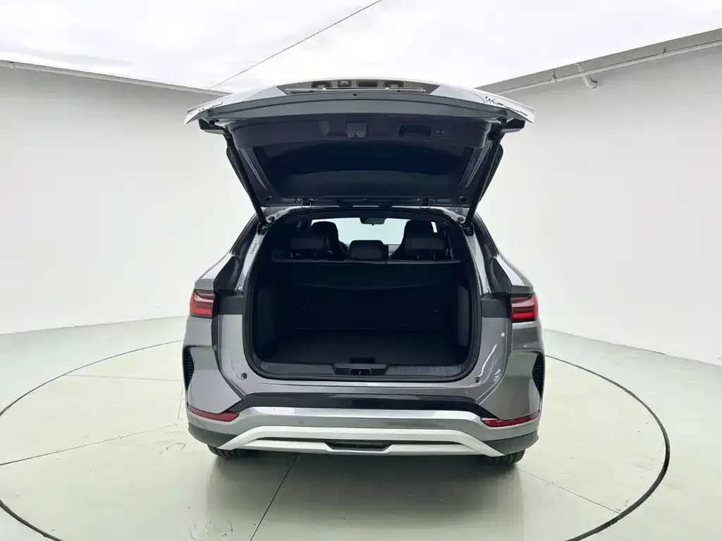 BYD PLUS New Energy — фото 4
