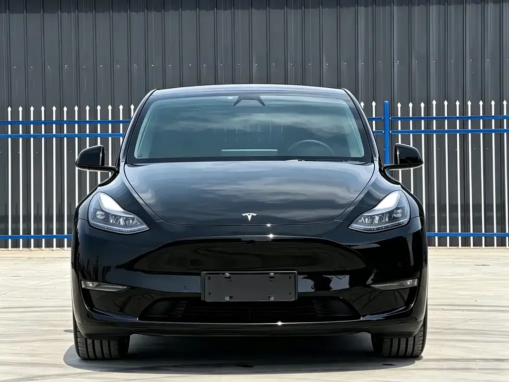 Tesla Model Y — фото 8