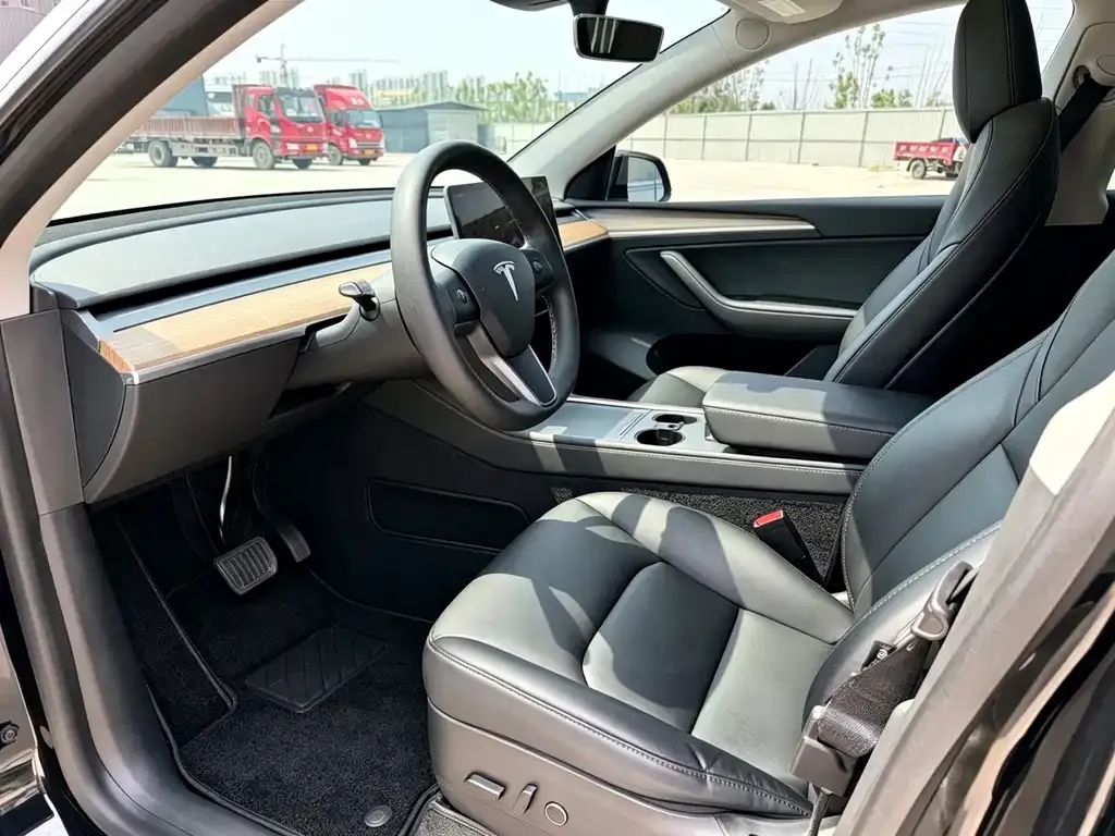 Tesla Model Y — фото 9