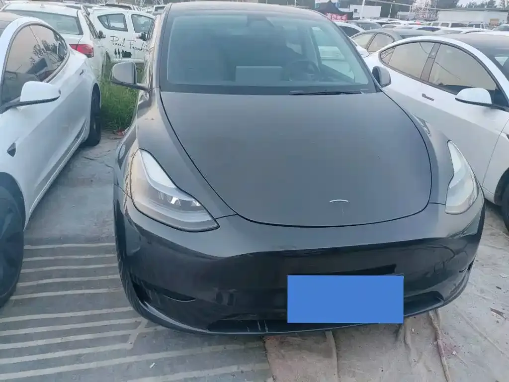 Tesla Model Y — фото 4