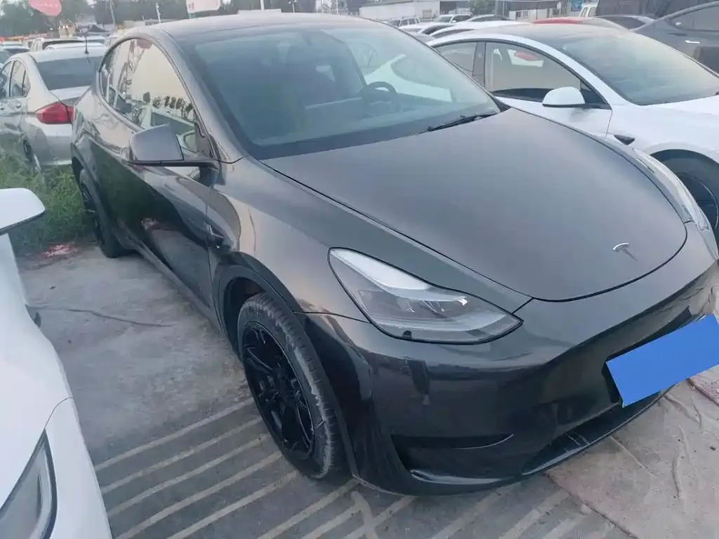 Tesla Model Y — фото 3