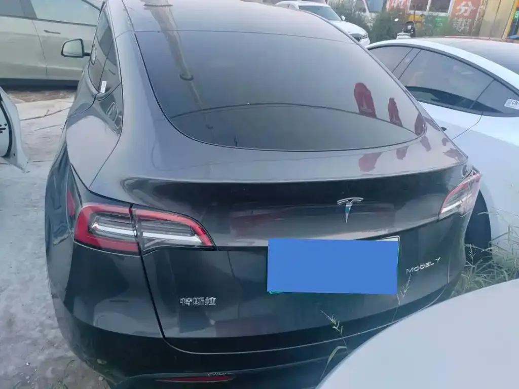 Tesla Model Y — фото 9