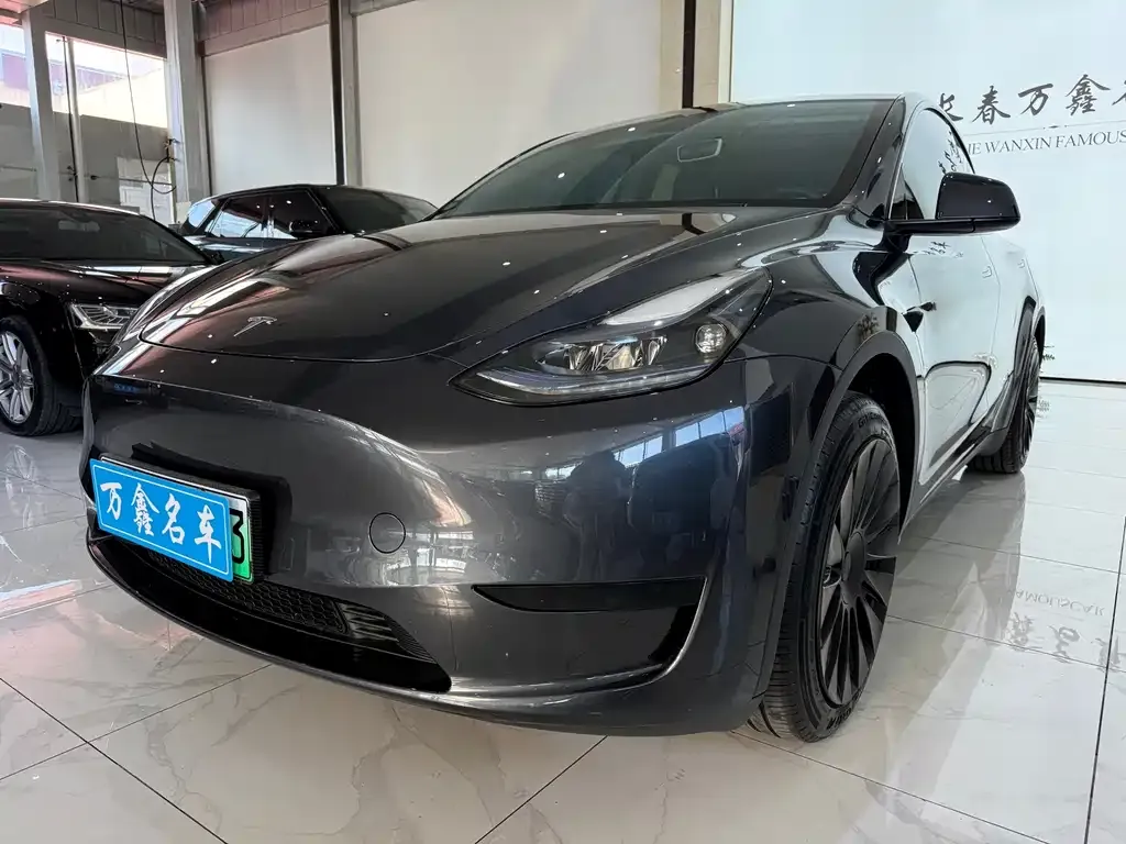 Tesla Model Y — фото 1