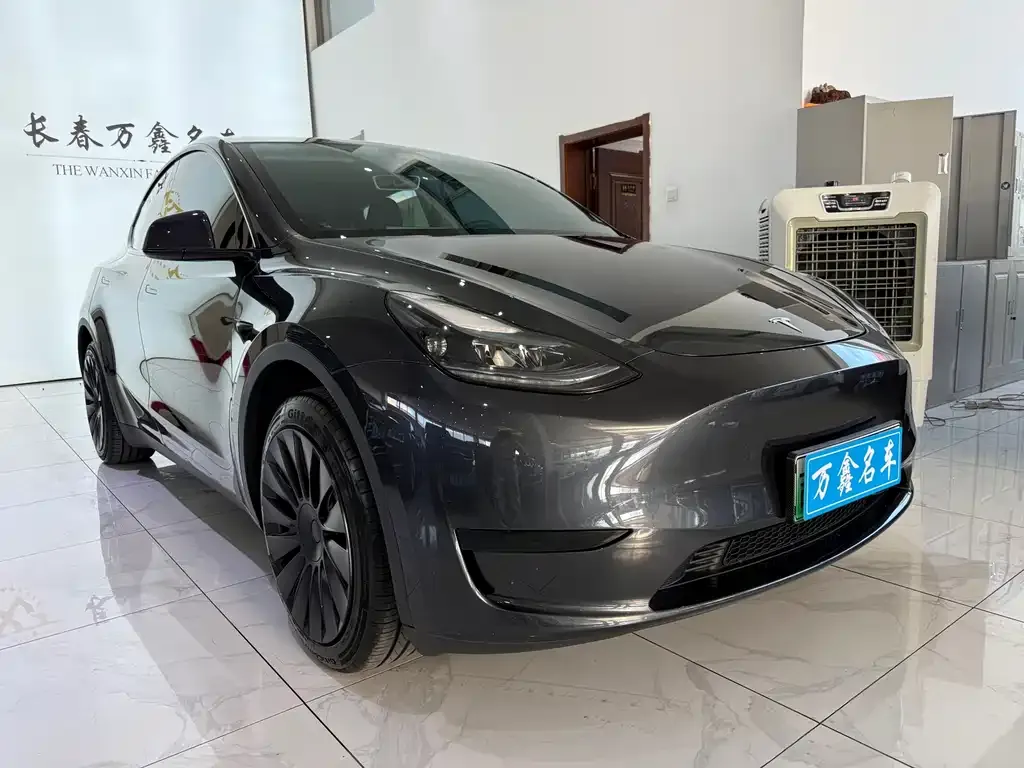 Tesla Model Y — фото 3