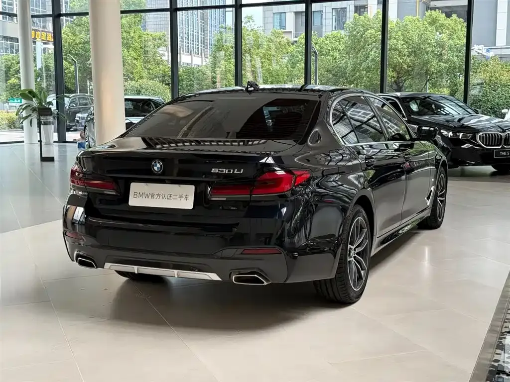 BMW 5 Series — фото 10