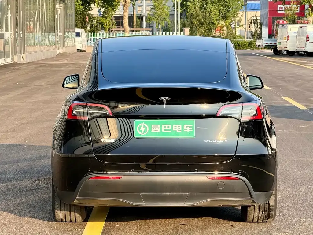 Tesla Model Y — фото 5