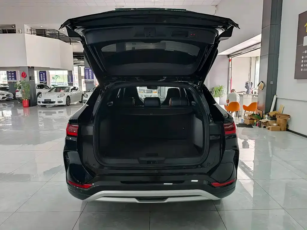 BYD PLUS New Energy — фото 2