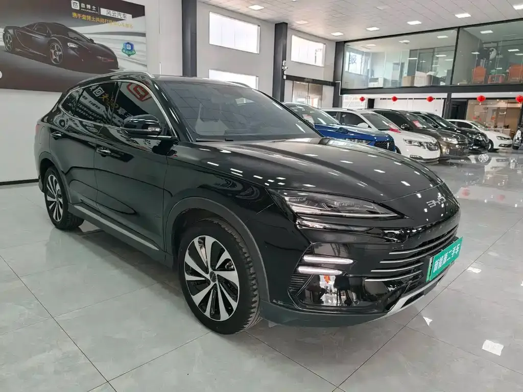BYD PLUS New Energy — фото 10