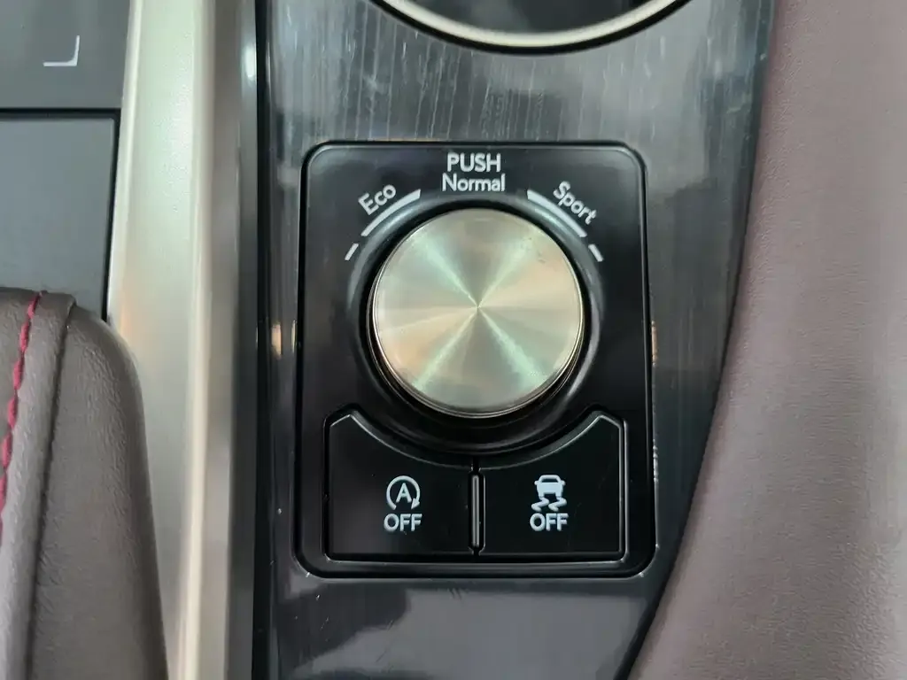 Lexus RX — фото 10